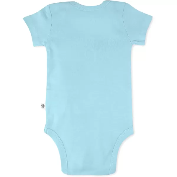 Honestbaby 10Pack Short Sleeve Bodysuits OnePiece 100 Organic Cotton for Infant Baby Boys Girls UnisexRainbow Blues