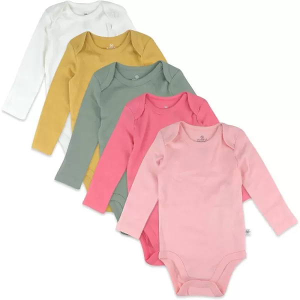 HonestBaby Long Sleeve Bodysuits Multipack Organic Cotton for Infant Baby Girls5pack Strawberry Ice