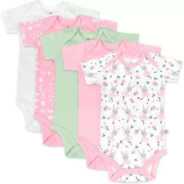 HonestBaby babygirls 5pack Short Sleeve Bodysuits Onepiece 100 Organic Cotton for Infant Baby Girls5pack Tutu Cute