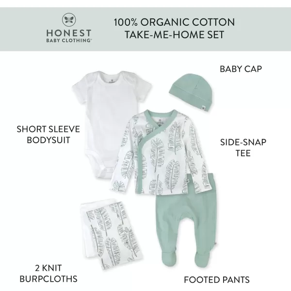 HonestBaby Multipack Gift Bundle Sets Mix Match Outfits 100 Organic Cotton for Newborn Infant Baby Boys Girls Unisex6 Jumbo Leaf Sage