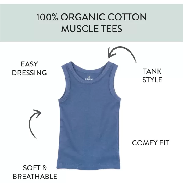 HonestBaby Multipack Long Sleeve Tshirts Tee 100 Organic Cotton Baby Toddler Kids Boys Girls5pack Ombre Blues
