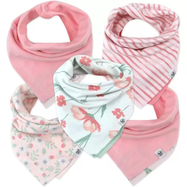 5-pack Strawberry Cream