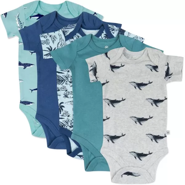 HonestBaby Baby Short Sleeve OnePiece 100 Organic Cotton Bodysuits 5 Pack5pack Seaside Fun
