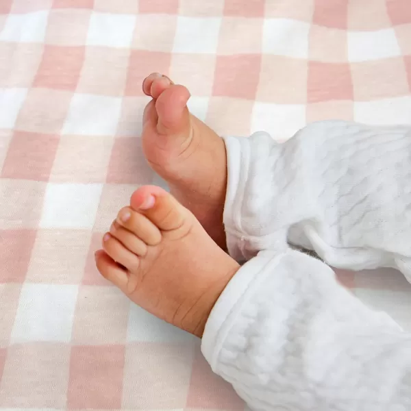 imageHonestBaby Quilted Baby Blankets Reversible Organic Cotton for Infant Boys Girls Unisex Pattern PlayGray One Size1pack Strawberry Pink Floral Reversible Blanket