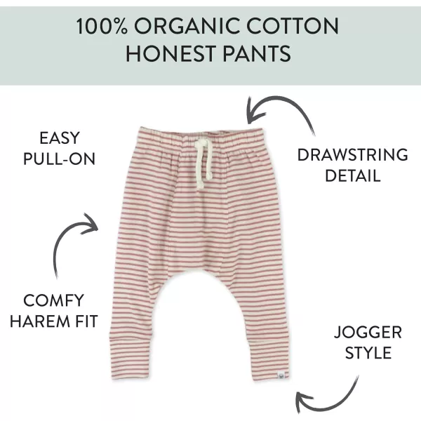 imageHonestBaby Multipack Honest Pants Joggers Pull on 100 Organic Cotton for Infant Baby and Toddler Boys Girls UnisexMini Stripe Ash Rose