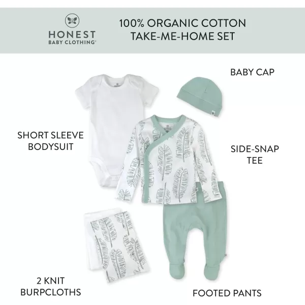 imageHonestBaby Multipack Gift Bundle Sets Mix Match Outfits 100 Organic Cotton for Newborn Infant Baby Boys Girls UnisexJumbo Leaf Sage