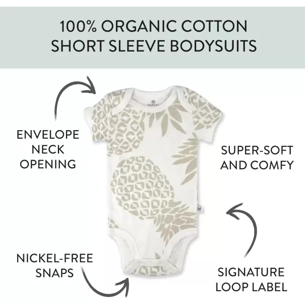 imageHonestBaby babygirls 5pack Short Sleeve Bodysuits Onepiece 100 Organic Cotton for Infant Baby Girls5pack Pink Avocado Leaf