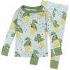 imageHonestBaby 2Piece Pajamas Sleepwear PJs 100 Organic Cotton for Baby Toddler Kids Boy Dino Delight