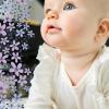 imageHonestBaby Girls 3 Pack Side Ruffle Top SetDusty Purple Wisteria