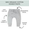 imageHonestBaby Multipack Honest Pants Joggers Pull on 100 Organic Cotton for Infant Baby and Toddler Boys Girls UnisexBlue Lion Crest