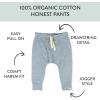 imageHonestBaby Multipack Honest Pants Joggers Pull on 100 Organic Cotton for Infant Baby and Toddler Boys Girls UnisexMicro Stripe Blue Heather