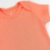 imageHonestbaby Organic Cotton Short Sleeve Bodysuits Multi Pack 5 Pack Wild Rainbow 03 Months