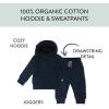 imageHonestBaby Multipack Pullover Hoodie Sweatshirt Jogger Sweatpant Sets Organic Cotton Baby Toddler Boys Girls UnisexDress Blues 2pack