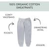 imageHonestBaby Multipack Pullover Hoodie Sweatshirt Jogger Sweatpant Sets Organic Cotton Baby Toddler Boys Girls UnisexGray