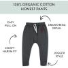imageHonestBaby Multipack Honest Pants Joggers Pull on 100 Organic Cotton for Infant Baby and Toddler Boys Girls UnisexAcademy Patch