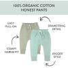 image:imageMultipack Honest Pants Joggers Pull on 100 Organic Cotton for Infant Baby and Toddler Boys Girls UnisexSage Ombre