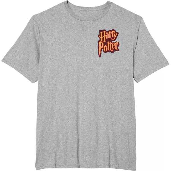 Amazon Essentials Harry Potter Front and Back Gryffindor Collegiate Collage TShirtHeather Grey