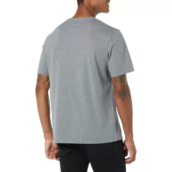 Amazon Essentials Mens RegularFit ShortSleeve VNeck TShirt Available in Big amp Tall Pack of 2Grey Heather Cactus