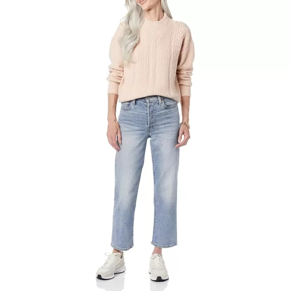 Amazon Essentials Womens SoftTouch Modern Cable Crewneck Sweater Available in Plus SizeBlush