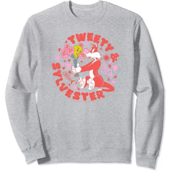 Amazon Essentials Looney Tunes Circle Tweety and Red Sylvester SweatshirtHeather Grey