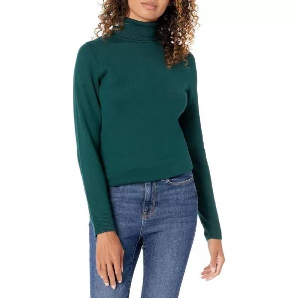 Amazon Essentials Womens ClassicFit Lightweight LongSleeve Turtleneck Sweater Available in Plus SizeForest Green