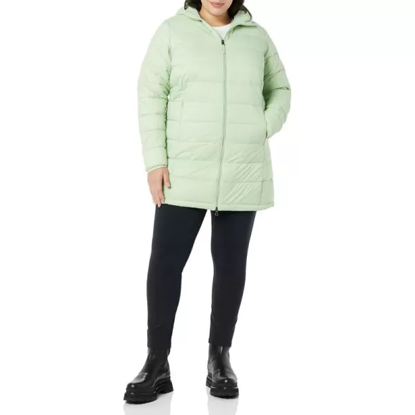 Amazon Essentials Womens Lightweight WaterResistant Hooded Puffer Coat Available in Plus SizeSage Green