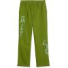 imageAmazon Essentials Disney  Marvel  Star Wars Mens Fleece Sweatpant Available in Big ampamp TallMarvel Hulk
