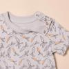 imageAmazon Essentials Unisex Babies ShortSleeve Tee Pack of 5Dark Grey CarrotsGrey HeatherOffwhiteOrange Rugby StripeRabbit