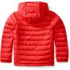 imageAmazon Essentials Boys and Toddlers Lightweight WaterResistant Packable Hooded Puffer JacketRed