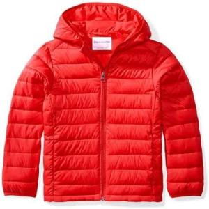 imageAmazon Essentials Boys and Toddlers Lightweight WaterResistant Packable Hooded Puffer JacketRed