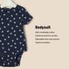 imageAmazon Essentials x Sofia Grainge Unisex Babies Short Sleeve Crewneck Bodysuit Pack of 3BunniesLight BlueStripe