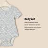imageAmazon Essentials x Sofia Grainge Unisex Babies Short Sleeve Crewneck Bodysuit Pack of 3RabbitsRound TreesStripe