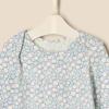 imageAmazon Essentials x Sofia Grainge Unisex Babies Long Sleeve Crew Neck Bodysuit Pack of 3RabbitsRound TreesStripe