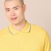 imageAmazon Essentials Mens Polo Shirts Short Sleeve SlimFit Cotton PiqueYellow Thin Stripe
