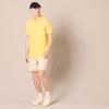 imageAmazon Essentials Mens Polo Shirts Short Sleeve SlimFit Cotton PiqueYellow Thin Stripe