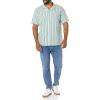 imageAmazon Essentials Mens RegularFit ShortSleeve ButtonDown Vacation ShirtLight Blue Stripe
