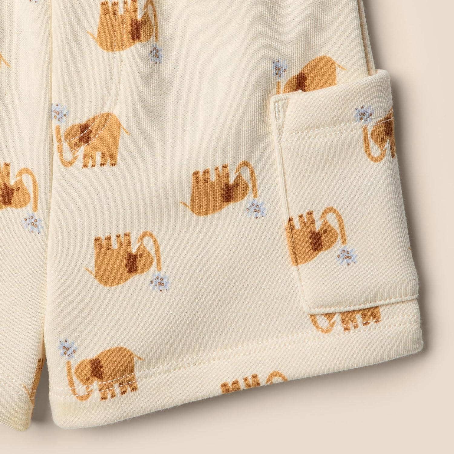 imageAmazon Essentials x Sofia Grainge Toddlers and Baby Boys Regular Fit TShirt and Short SetIvory Elephants