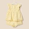 imageAmazon Essentials x Sofia Grainge Toddlers and Baby Girls Eyelet Short ampamp Top SetLight Tan Ditsy Flowers