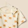 imageAmazon Essentials x Sofia Grainge Toddlers and Baby Boys Short Sleeve TShirts Pack of 2ElephantsNavy