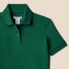 imageAmazon Essentials Toddlers and Baby Girls Cotton Spandex Polo Shirt Pack of 3Dark GreenWhiteLion and Pony