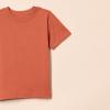imageAmazon Essentials Unisex Kids and Toddlers Modern ShortSleeve TShirt Pack of 3IvorySage GreenTerracotta