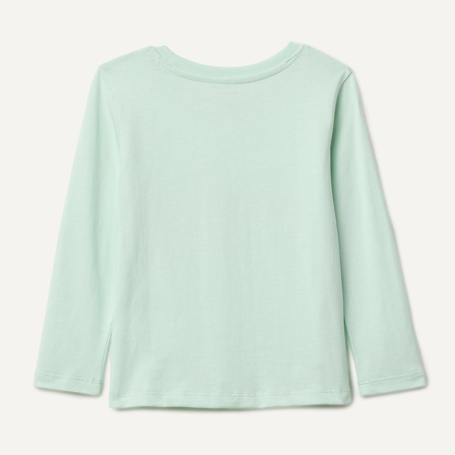 imageAmazon Essentials Boys LongSleeve TShirtsPale Mint Green Truck