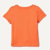 imageAmazon Essentials Girls and Toddlers ShortSleeve TShirtsBright Orange Jelly