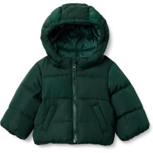imageAmazon Essentials x Sofia Grainge Babies Toddlers and Boys WaterResistant Hooded Puffer JacketDark Green