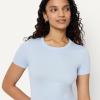image:imageAmazon Essentials Womens SlimFit ShortSleeve Crewneck TShirt Pack of 2Light BlueLight Grey Heather