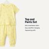 image:imageAmazon Essentials x Sofia Grainge Unisex Toddlers and Babies Cotton Knit Short Sleeve Shirt amp Pants SetLight Yellow Ice Cream