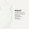 image:imageAmazon Essentials x Sofia Grainge Baby Girls Cotton Ruffle Sleeve Bodysuit with Embroidered Detail Pack of 2Light YellowBouquets