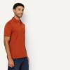 image:imageAmazon Essentials Mens Moisture Wicking Golf Polo Shirt Short Sleeve SlimFit QuickDryBrick Red