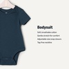 image:imageAmazon Essentials x Sofia Grainge Unisex Babies Short Sleeve Crewneck BodysuitDark NavyIvoryLight Blue