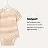 image:imageAmazon Essentials x Sofia Grainge Unisex Babies Short Sleeve Crewneck BodysuitIvoryLight CamelStripe